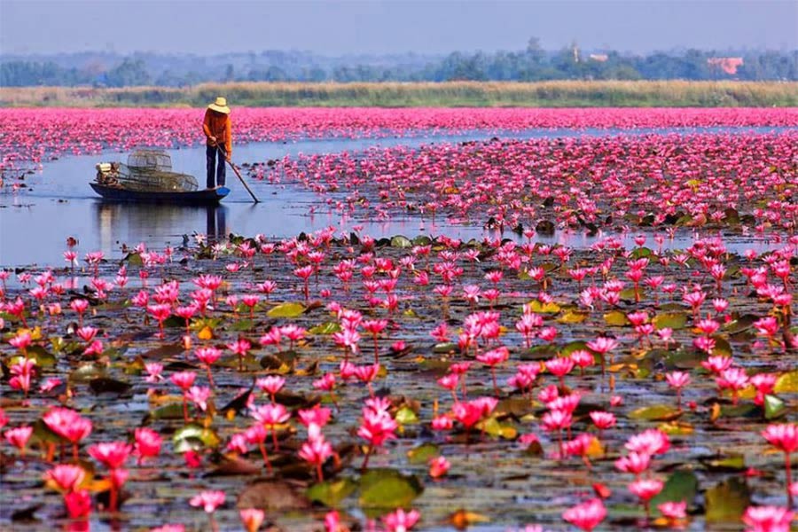 Northeastern Thailand
