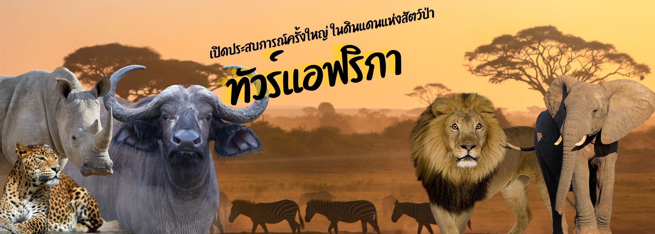africa-banner